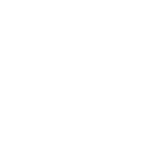 Performics